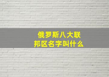 俄罗斯八大联邦区名字叫什么