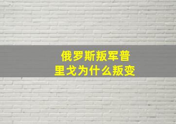 俄罗斯叛军普里戈为什么叛变