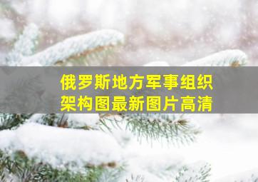 俄罗斯地方军事组织架构图最新图片高清