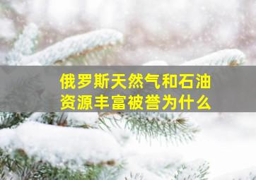 俄罗斯天然气和石油资源丰富被誉为什么