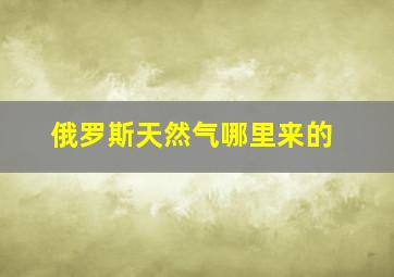 俄罗斯天然气哪里来的