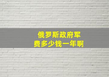 俄罗斯政府军费多少钱一年啊