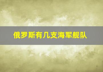 俄罗斯有几支海军舰队