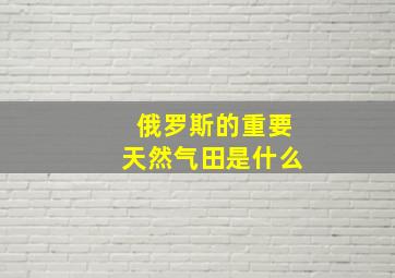 俄罗斯的重要天然气田是什么