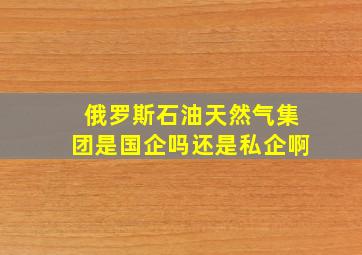 俄罗斯石油天然气集团是国企吗还是私企啊