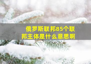 俄罗斯联邦85个联邦主体是什么意思啊