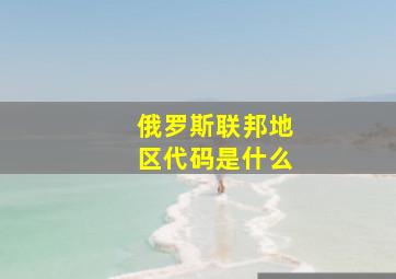 俄罗斯联邦地区代码是什么