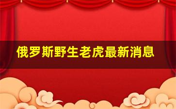 俄罗斯野生老虎最新消息