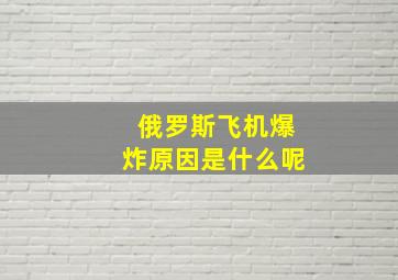 俄罗斯飞机爆炸原因是什么呢