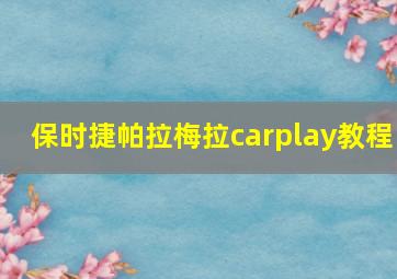 保时捷帕拉梅拉carplay教程