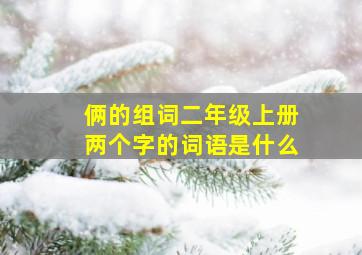 俩的组词二年级上册两个字的词语是什么