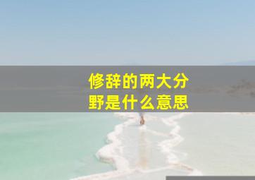 修辞的两大分野是什么意思