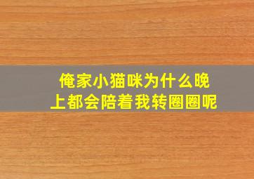 俺家小猫咪为什么晚上都会陪着我转圈圈呢