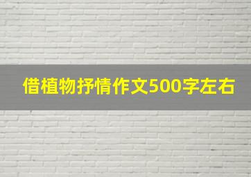 借植物抒情作文500字左右