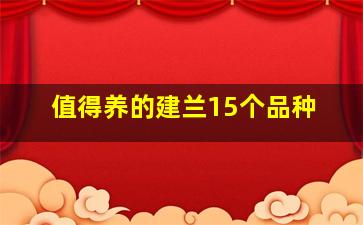 值得养的建兰15个品种