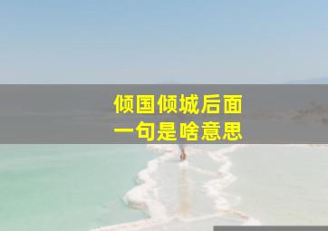 倾国倾城后面一句是啥意思