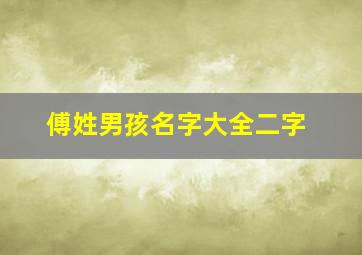 傅姓男孩名字大全二字