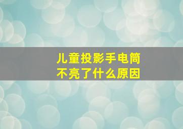 儿童投影手电筒不亮了什么原因