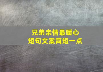 兄弟亲情最暖心短句文案简短一点