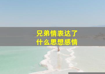 兄弟情表达了什么思想感情