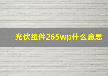 光伏组件265wp什么意思