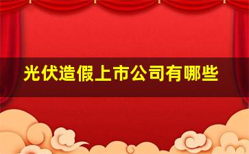 光伏造假上市公司有哪些