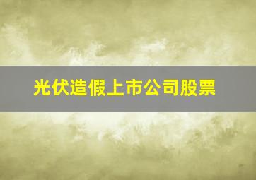 光伏造假上市公司股票