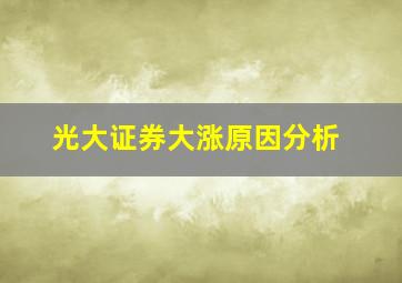 光大证券大涨原因分析