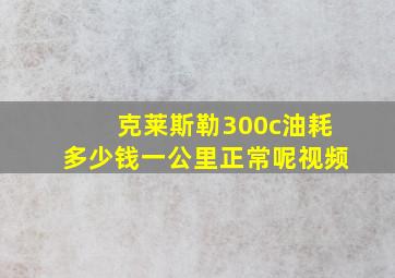 克莱斯勒300c油耗多少钱一公里正常呢视频