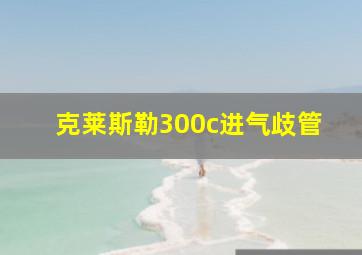 克莱斯勒300c进气歧管