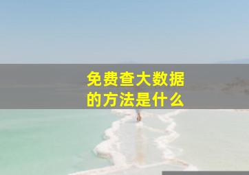 免费查大数据的方法是什么