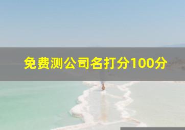 免费测公司名打分100分