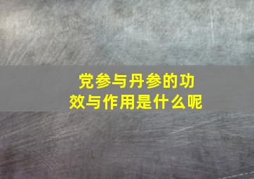 党参与丹参的功效与作用是什么呢