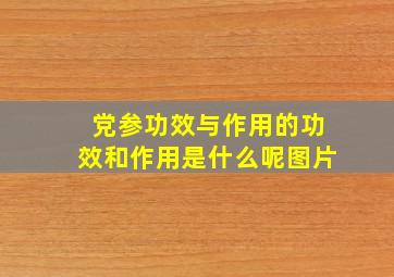 党参功效与作用的功效和作用是什么呢图片