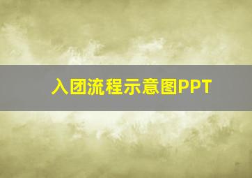 入团流程示意图PPT