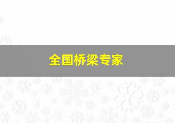 全国桥梁专家