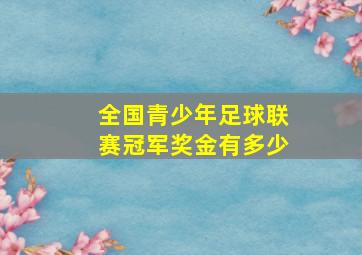 全国青少年足球联赛冠军奖金有多少