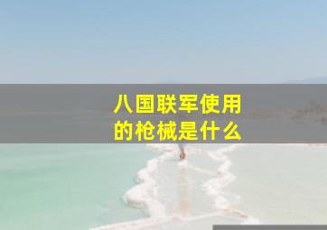 八国联军使用的枪械是什么