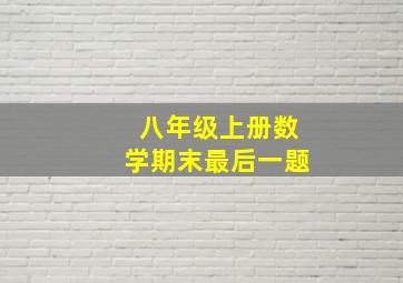 八年级上册数学期末最后一题