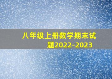 八年级上册数学期末试题2022-2023