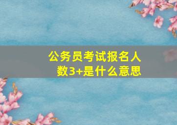 公务员考试报名人数3+是什么意思