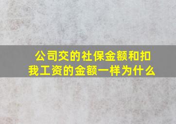 公司交的社保金额和扣我工资的金额一样为什么