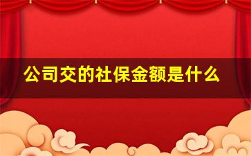 公司交的社保金额是什么