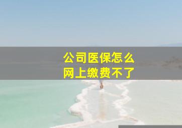 公司医保怎么网上缴费不了