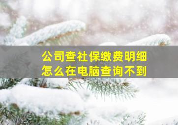 公司查社保缴费明细怎么在电脑查询不到