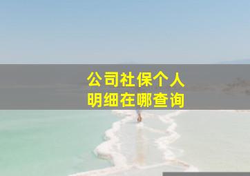 公司社保个人明细在哪查询