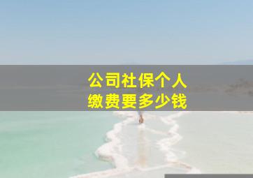 公司社保个人缴费要多少钱