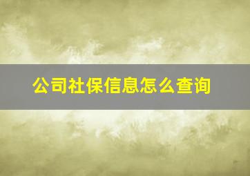 公司社保信息怎么查询