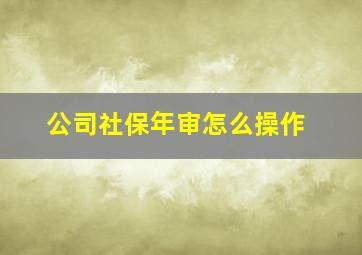 公司社保年审怎么操作