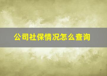 公司社保情况怎么查询